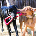 Load image into Gallery viewer, Two dogs playing with a red toy outdoors.