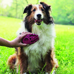 Load image into Gallery viewer, Dog sitting on grass with a pink dog toy held by a person