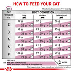 Load image into Gallery viewer, Feeding chart for cats with weight and body condition guidelines.
