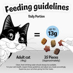 Load image into Gallery viewer, Feeding guidelines for adult cats with a cartoon cat and treats on a white background