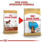 Load image into Gallery viewer, Two packages of Royal Canin Dachshund dog food with text indicating a new look and upgraded formula.