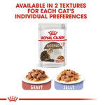 Load image into Gallery viewer, Royal Canin Ageing 12+ cat food pouch with gravy and jelly options on a white background.