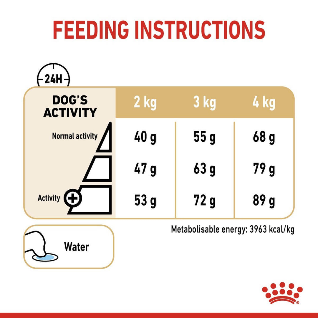 Feeding instructions for a dog with weight and activity levels on a white background