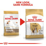 Load image into Gallery viewer, Two packages of Royal Canin Beagle dog food with a red arrow between them indicating a new look.