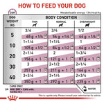 Load image into Gallery viewer, Feeding chart for dogs showing recommended amounts of food based on weight and body condition.