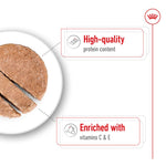 Load image into Gallery viewer, Bread on a plate with text highlighting high-quality protein content and vitamin enrichment.