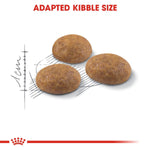 Load image into Gallery viewer, Three dog kibble pieces on a metal surface with 'Adapted Kibble Size' text above and Royal Canin logo below.
