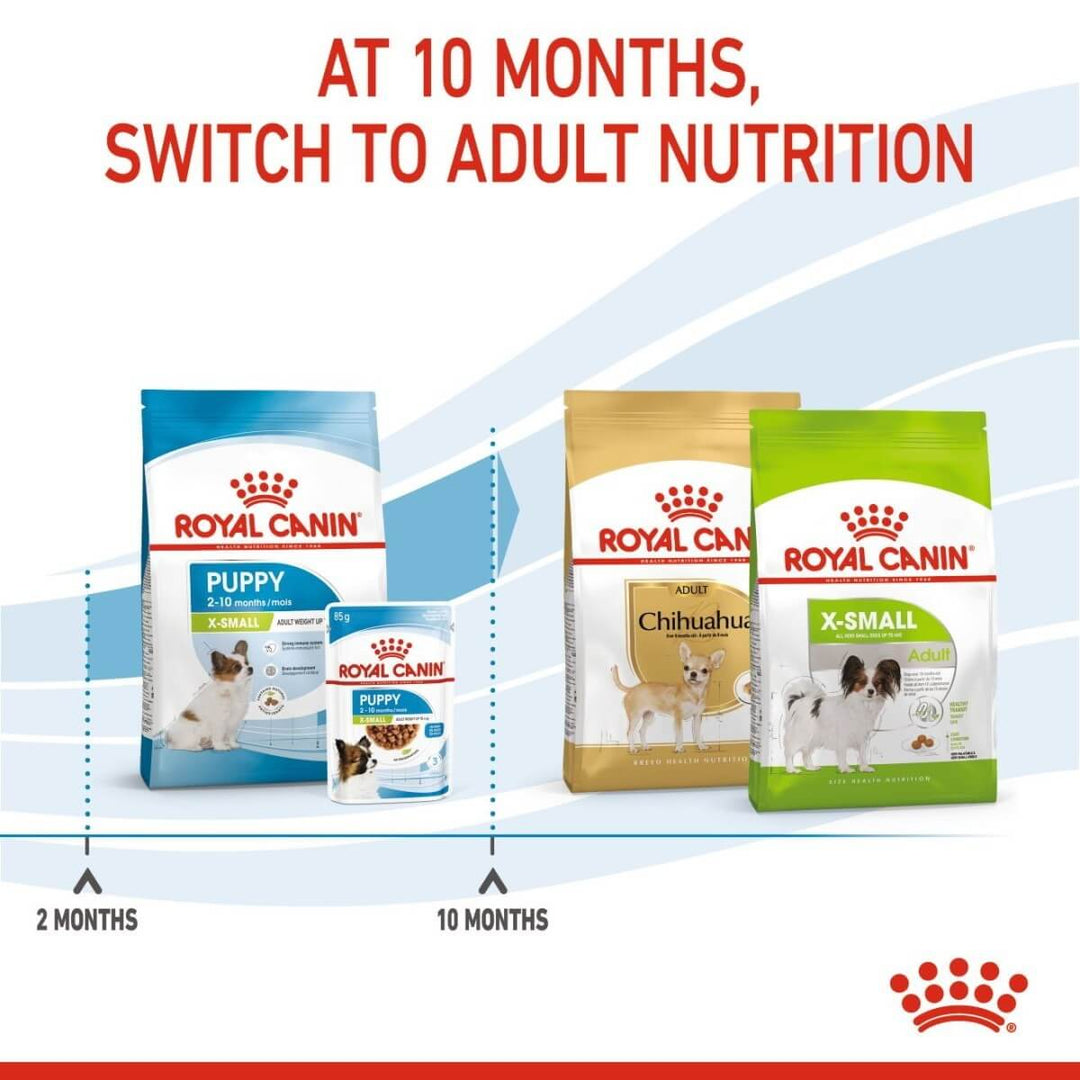 Royal Canin dog food packages for different life stages on a white background