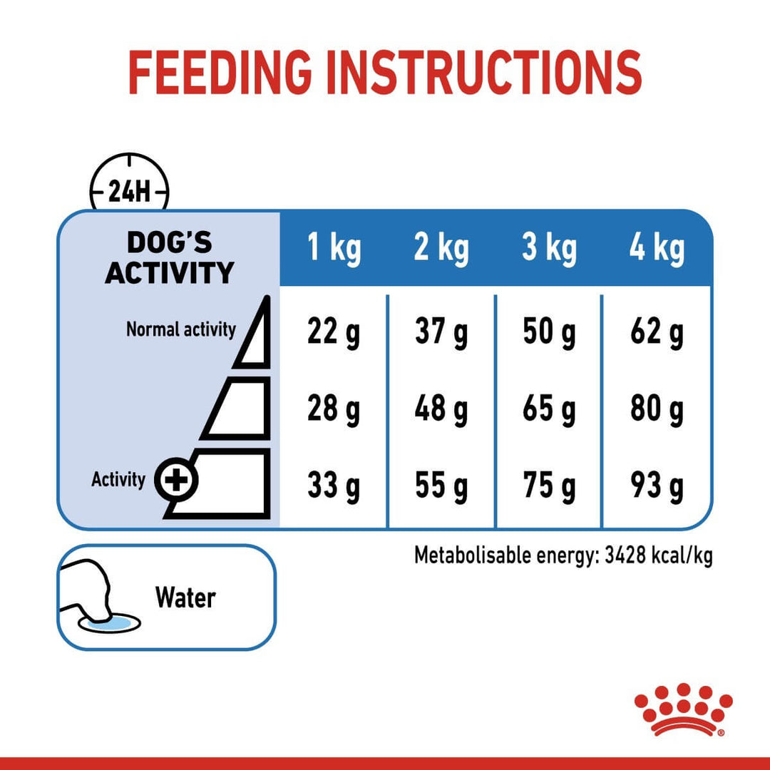 Feeding instructions for a dog with activity levels on a label