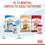 Load image into Gallery viewer, Royal Canin dog food packaging with stages of growth on a white background