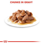 Load image into Gallery viewer, Cat food chunks in gravy on a white plate with 'Chunks in Gravy' text above.