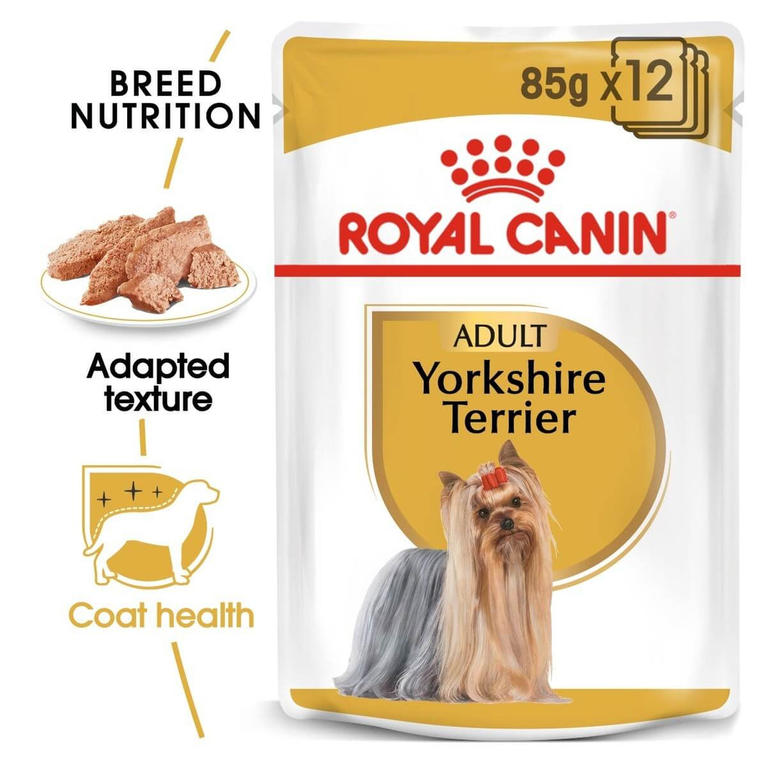 Royal Canin Yorkshire Terrier wet dog food package on a white background
