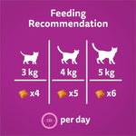 Load image into Gallery viewer, Feeding recommendation chart for cats on a purple background