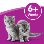 Load image into Gallery viewer, Two kittens standing side by side on a purple background with '6+ Weeks' text.