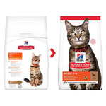 Load image into Gallery viewer, Two packages of Hills Science Plan cat food on a white background