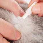 Load image into Gallery viewer, beaphar FIPROtec® COMBO Flea and Tick Spot-On for Cats