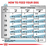 Load image into Gallery viewer, Feeding chart for dogs showing recommended food amounts based on weight and condition.