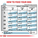 Load image into Gallery viewer, Feeding chart for dogs showing recommended food amounts based on weight and condition.
