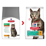 Load image into Gallery viewer, Two packages of Hills Science Plan cat food with a cat on the label.