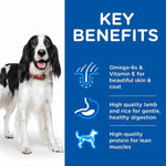 Load image into Gallery viewer, Balanced diet for dogs