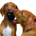 Load image into Gallery viewer, Two dogs playing with a black ball on a white background