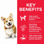 Load image into Gallery viewer, Adult mini dog food