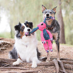 Load image into Gallery viewer, Two dogs playing with a colorful dog toy outdoors.