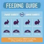 Load image into Gallery viewer, Feeding guide for dwarf and junior rabbits with recommended food amounts on a blue background.