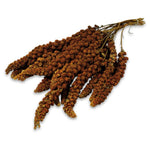 Load image into Gallery viewer, JR Farm Red Foxtail Millet offers the purest form of natural nutrition