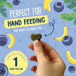 Load image into Gallery viewer, Heart-shaped treat held by a hand with a blue background featuring bananas, blueberries, and text about hand feeding pets.