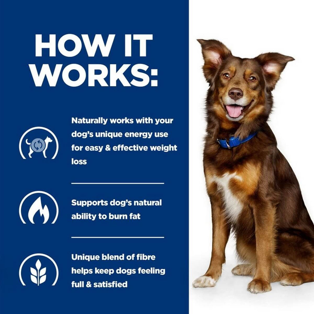 Dog sitting next to a blue background with text about weight loss for dogs.