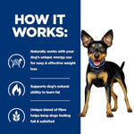Load image into Gallery viewer, Dog standing next to a blue panel with text about weight loss for dogs on a white background
