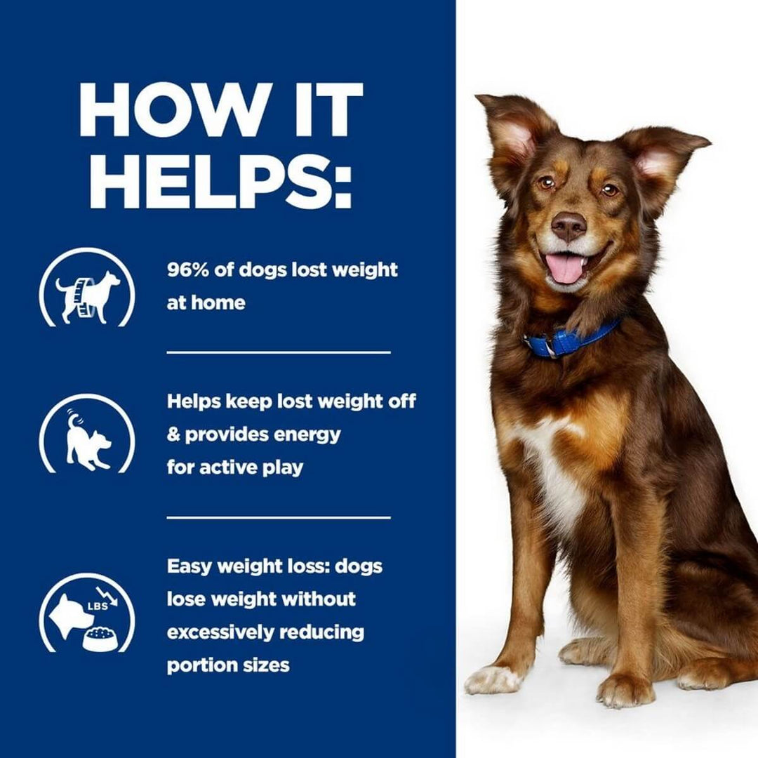 Dog wearing a blue collar with text on how it helps with weight loss on a white background