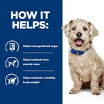 Load image into Gallery viewer, Dog with a blue collar on a white background, next to text about how it helps manage blood sugar, maintain lean muscle mass, and healthy body weight.