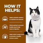 Load image into Gallery viewer, Cat sitting next to a brown panel with text about cat food benefits on a white background