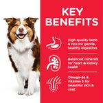 Load image into Gallery viewer, Dog with key benefits of a pet food product on a red background