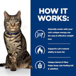 Load image into Gallery viewer, Cat with text explaining weight loss solution on a blue and white background