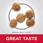 Load image into Gallery viewer, Science Plan dog food senior