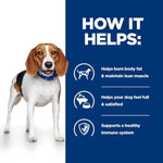 Load image into Gallery viewer, Dog with a blue background and text about the benefits of a product for dogs.