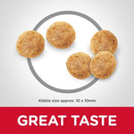 Load image into Gallery viewer, Dog kibble with a circle around it on a gray background, featuring the text 'Kibble size approx. 10 x 10mm' and 'GREAT TASTE'.