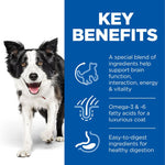 Load image into Gallery viewer, Dog with key benefits text on a blue background