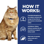 Load image into Gallery viewer, Cat with text on how a product works, featuring controlled phosphorus, omega-3s, and other health benefits.
