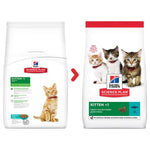 Load image into Gallery viewer, Two bags of Hills Science Plan Kitten cat food on a white background