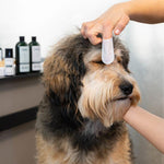 Load image into Gallery viewer, kooa Sensitive Ear and Eye Finger Pads