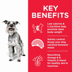 Load image into Gallery viewer, Weight control dog food 2.5kg