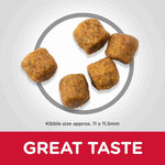 Load image into Gallery viewer, Nutritious medium breed food