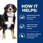 Load image into Gallery viewer, Dog with text on how it helps with weight loss and activity support.