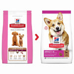 Load image into Gallery viewer, Lamb dry dog food