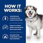 Load image into Gallery viewer, Dog with text explaining product benefits on a blue background