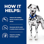 Load image into Gallery viewer, Dalmatian dog with health benefits text on a blue background